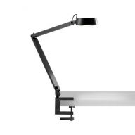Light-Point Dark T1 Tafellamp met tafelklem - Carbon black 