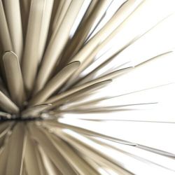 Foscarini Sun Light of Love MyLight Hanglamp - Goud