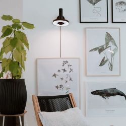 Tonone Beads Wall 35 Downlight Wandlamp - Zwart