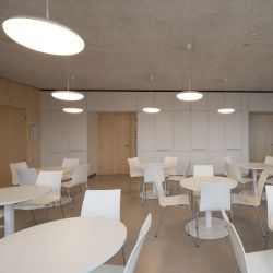 Louis Poulsen Silverback 295 Hanglamp - 3000K Dali - Wit