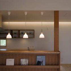 Louis Poulsen Toldbod Glass 220 Hanglamp - Wit