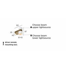 Trizo21 Audy-Wall 2S Duo Wandlamp - 2700K - 40Â° - Messing frame - Zwarte ring