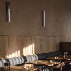 Anour Divar Wandlamp - 250 cm - Geborsteld roestvrij staal