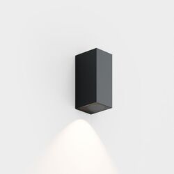 IP44 Iem.2 Y Down Wandlamp - Antraciet