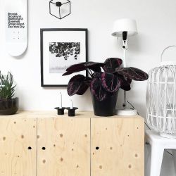 Tonone Bolt Table Tafellamp Standard - Groen