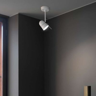 Luceplan Counterbalance Spot Plafondlamp/Wandlamp - Wit