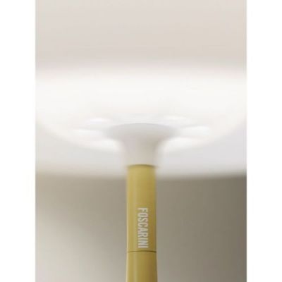 Foscarini Birdie Easy Lettura Vloerlamp - Groen