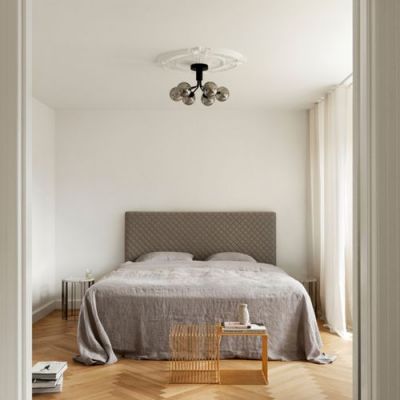 Nuura Apiales 6 Plafondlamp - Zwart - Gerookt glas
