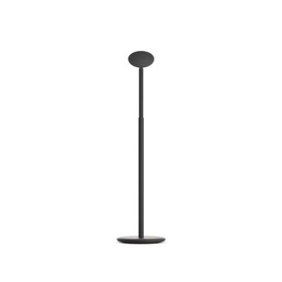 Grau Parrot Portable Lamp - Zwart
