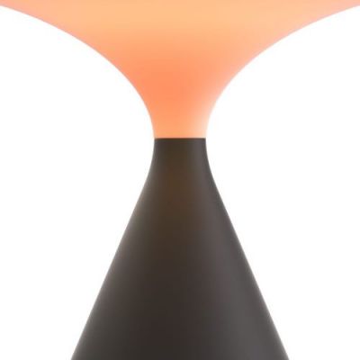 Grau Salt Portable Lamp - Zwart