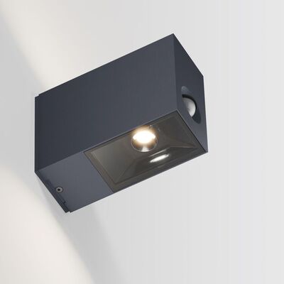 IP44 Eye Control Wandlamp - Antraciet