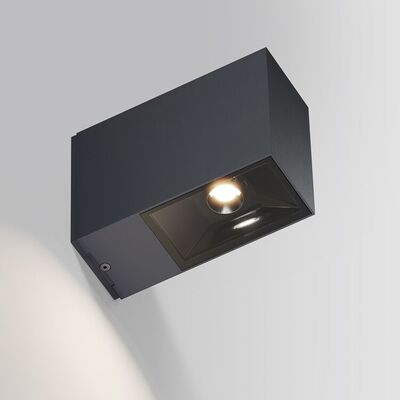 IP44 Eye Down Wandlamp - Antraciet