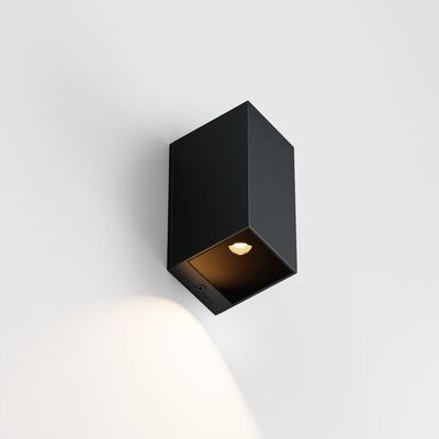 IP44 Iem.2 Y Down Wandlamp - Antraciet
