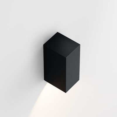 IP44 Iem.2 Y Down Wandlamp - Antraciet