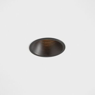 Modular Modest LED IP55 Spot - Geborsteld zwart